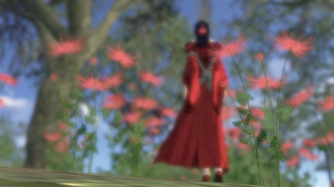 想要一只宠物乌龟，有什么推荐的好养的乌龟品种吗？